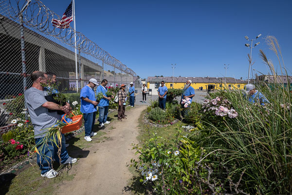 Land Together gardening at San Quentin - 2025 May