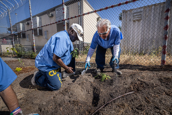 Land Together gardening at San Quentin - 2025 May