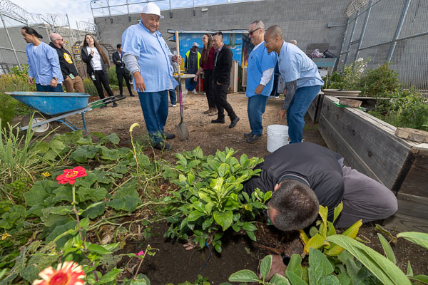 Land Together gardening at CSP-Solano - 2024 Oct.