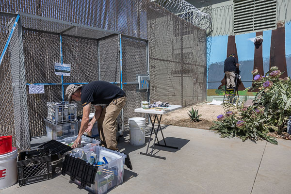 William James Association: mural and visual art at CMF - 2024 May