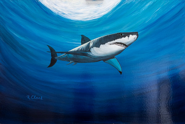 William James Association: mural and visual art at CMF - 2024 May