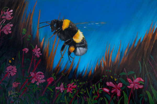 William James Association: SQ artwork - 2024 May