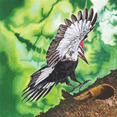 William James Association: Visual Art at Solano State Prison (afternoon class) - 2015 Dec.