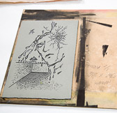 William James Association: Visual art at San Quentin State Prison - 2006 Nov