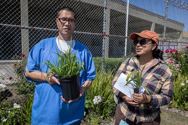 Land Together gardening at San Quentin - 2025 May