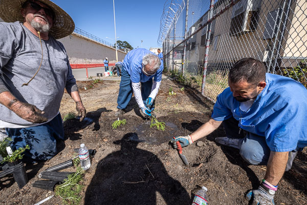Land Together gardening at San Quentin - 2025 May
