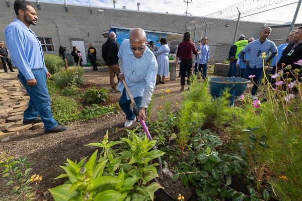 Land Together gardening at CSP-Solano - 2024 Oct.