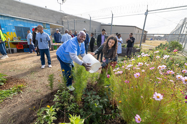 Land Together gardening at CSP-Solano - 2024 Oct.