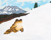 William James Association:Visual Art at Solano State Prison (morning class) - 2015 Dec.