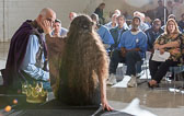 Marin Shakespeare Company: Theater at Solano State Prison - 2015 May